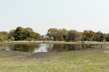 African delta water reflection