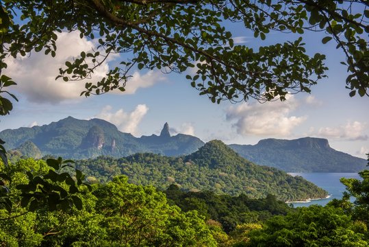 Wooded mountain landscape with dense vegetation on the coast, Principe Island, Sao Tome and Principe