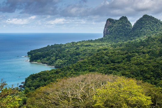 Wooded mountain landscape with dense vegetation on the coast, Principe Island, Sao Tome and Principe