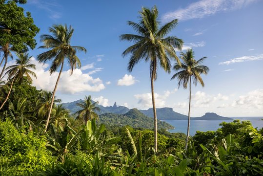 Wooded mountain landscape with palm trees and banana plants on the coast, Principe Island, Sao Tome and Principe