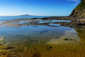 Landscape Scenery of Campbells Bay Beach Auckland, New Zealand; Rocky Part of the Beach During Morning Low Tide