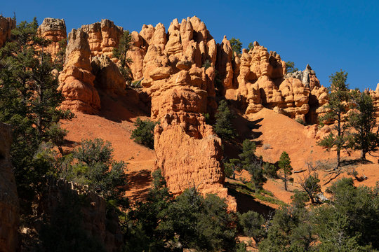 Red canyon, laik nowhere else on earth, beautiful national park in Utah
