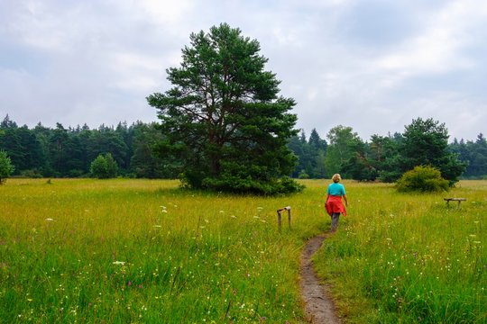 Female hiker in Konigsbrunner Heide, Augsburg, Swabia, Bavaria, Germany, Europe