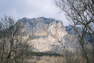 Rocks, bushes and fog in autumn Crimea mountains. Beautiful landscape.