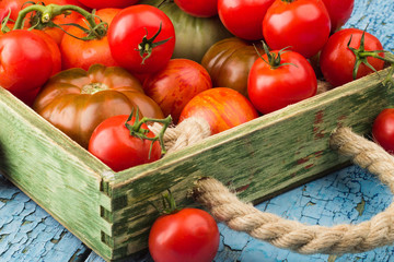 Set of different sorts of ripe tomatoes in the wooden tray