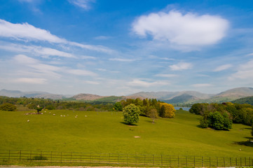 Fototapeta premium Rolling Countryside