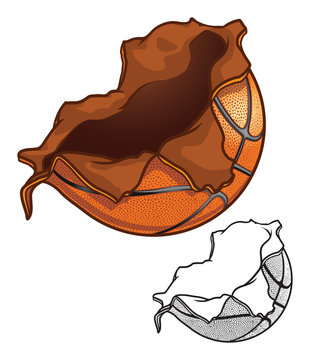 Basketball Exploding