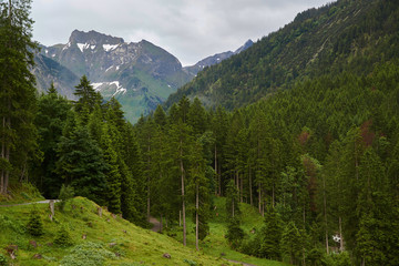 Fototapeta na wymiar Alpengipfel im frühlingshaften Oytal