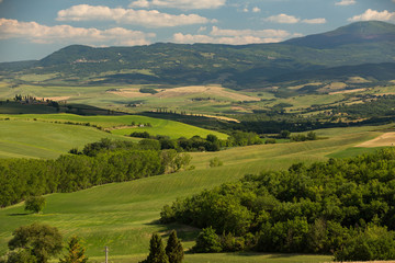 Fototapeta na wymiar Shallow hills and green meaddows during midday in the Tuscany