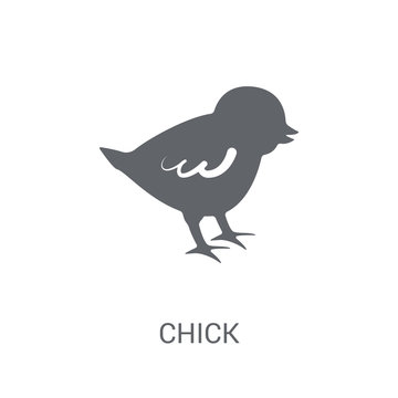 Chick Icon. Trendy Chick Logo Concept On White Background From Animals Collection