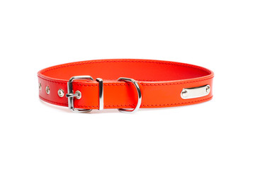 red collar with rivets isolated on white background