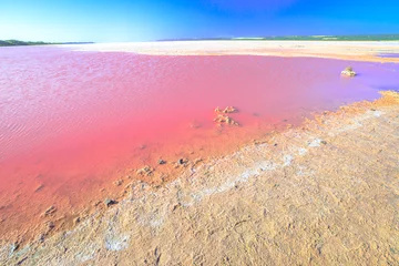 Gordijnen Pink Salt Lake bij Gregory in West-Australië. Schilderachtige kust van Hutt Lagoon tussen Geraldton en Kalbarri, met een levendige roze kleur voor de aanwezigheid van algen in de zomer. Horizon blauwe lucht met kopieerruimte © bennymarty