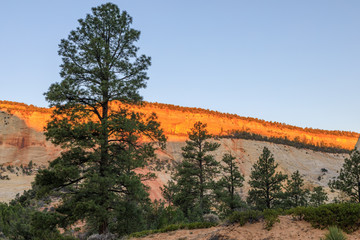 Scenic Zion National Park Utah Landscape