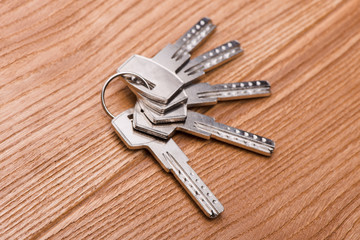 keys to the apartment. house keys