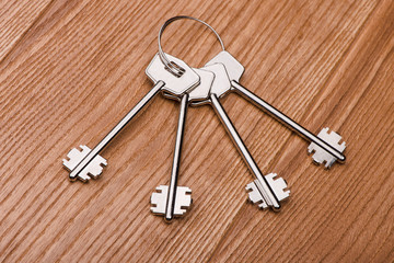 keys to the apartment. house keys