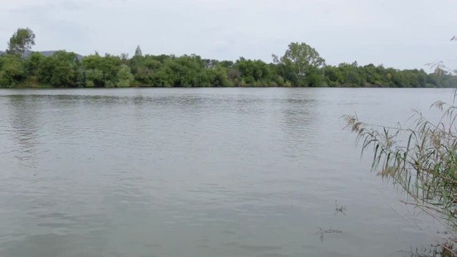 Vaal River Pan Left over water with reflection of trees ending with willow in water