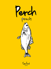 해산물 일러스트 / 손으로 그린 수산물 스케치