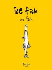 해산물 일러스트 / 손으로 그린 수산물 스케치