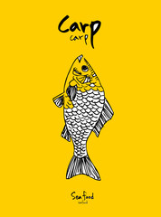 해산물 일러스트 / 손으로 그린 수산물 스케치