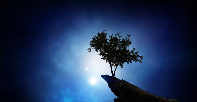Lonely tree on rock top. Mixed media