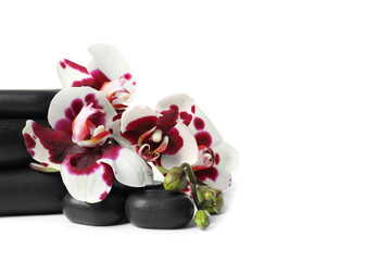 Obraz na płótnie Canvas Spa stones and orchid flowers on white background