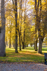 Autumnl landscape of Empty European Park .Colorful trees and leaves