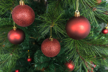 Close up of Christmas tree with red balls