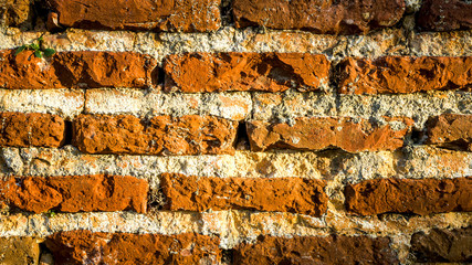  old red brick wall texture background