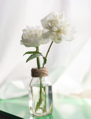 White Peony Flower in Glass Twine Vase on Green Table with White Curtains
