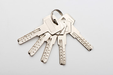 keys to the apartment. house keys