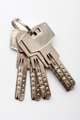 keys to the apartment. house keys