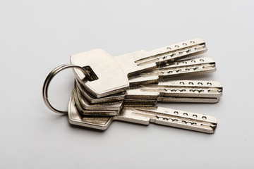 keys to the apartment. house keys