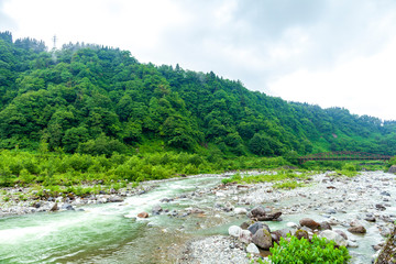 立山, 長野県, 長野, 鏡池, 池, 雷鳥, 自然, 風景, 鳥, 山, 信州, 秋, ライチョウ, 野鳥, 室堂, 北アルプス, 富山, 観光地, 高山, 特別天然記念物, 雪, 晴れ, 日本, みくりが池, 富山県, 鳥類, 屋外, 立山連峰, 山岳, 雄山, 北陸, 観光, 北海道, 天然記念物, 雪山, 渡り鳥, 積雪, 名所, 飛騨高山, 富士山, 観光名所, 白鳥, 冬鳥, 名勝, 