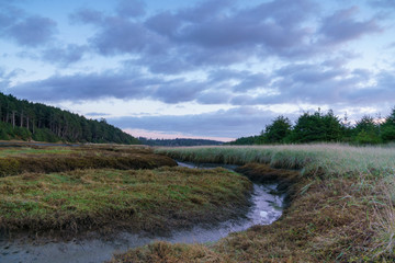 Copalis River In Autumn
