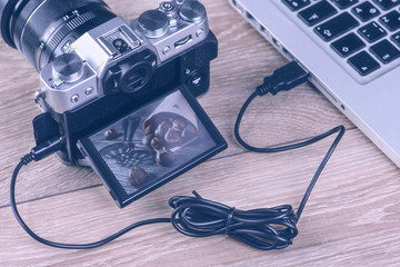 Transfer photos from camera to computer via cable.