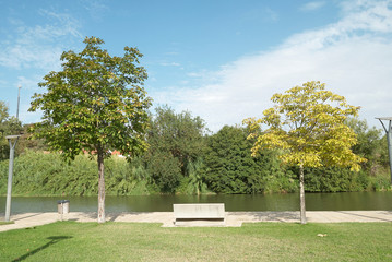 Bench park