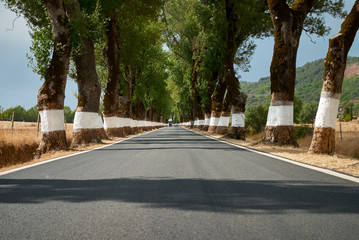 Beautiful road in Portugal
