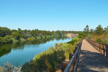 Walkway by the river