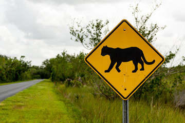Panther Crossing
