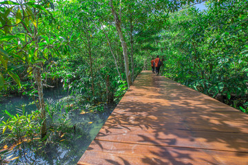 The background of the wooden bridge -Tha Pom Klong Song Nam, is a nature walk, an ecological study...