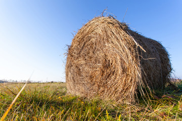 haystack roll in a field under the open blue sky