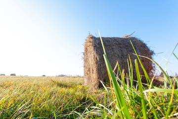haystack roll in a field under the open blue sky on a bright sunny day