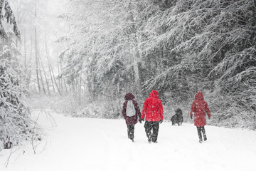 people walking in a snow storm
