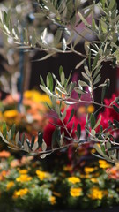 神戸北野異人館で