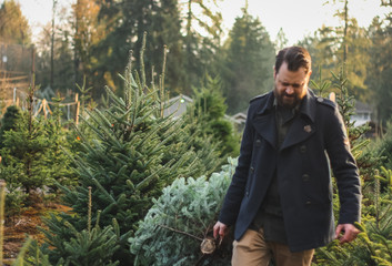 man carrying a Christmas tree at a farm