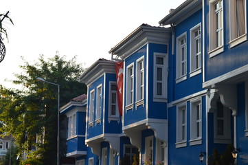 blue house 