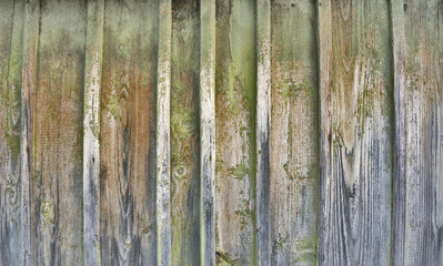 old green wooden fence background texture close up
