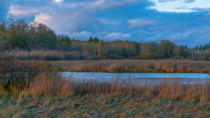 Sunset at Lynch Cove Wetlands Washington State