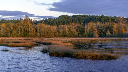 Sunset at Lynch Cove Wetlands Washington State