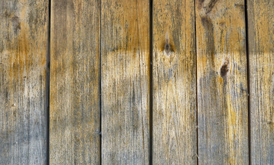 Vertical vintage wooden fence. Empty background of wooden lacquered panels with iron circles on the surface.